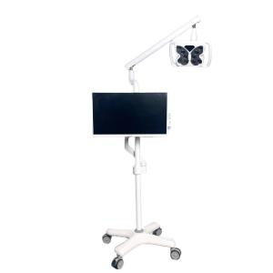 China 4 Universal Wheels Cold Light Teeth Whitening System Butterfly Shape Teeth Bleaching Equipment factory