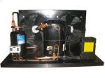 FH4524Z 2HP High Temp FranceTecumseh Air Cooled Refrigeration Unit 220V 50Hz