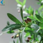 Restaurant Decro Artificial Olive Tree 5-10 Years Life Time 2.5m Height