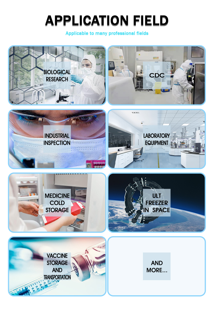 12V DC Hospital Vaccine Portable Freezer with Compressor and Precise Temperature Control
