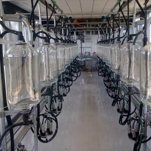 China Automatic 4KW Herringbone Milking Parlor for Milking Cow and Milking Goat factory
