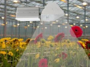 China Deep Penetration Indoor Grow Lights , B281 Plus 630W MH Grow Lights For Indoor Plants factory