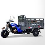 Electric Tricycle Motorcycle Grade Ability ≥25° Open Body Type Heavy Load