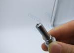Industrial Diesel Fuel Nozzle DSLA156P736, Common Rail Injector Nozzles