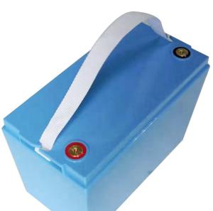 China Outdoor Deep Cycle RV LiFePO4 Battery 24V 60Ah 8S1P Camper Use factory