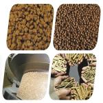 100kg/ H Dog Poultry Feed Pellet Machine 220V 3KW