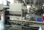 Chinese Fresh Noodles Making Machine Production Line Supplier