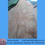 linyi good quality natural gurjan/keruing wood veneer