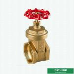 Brass Threaded Gate Valve for Water Control PN16