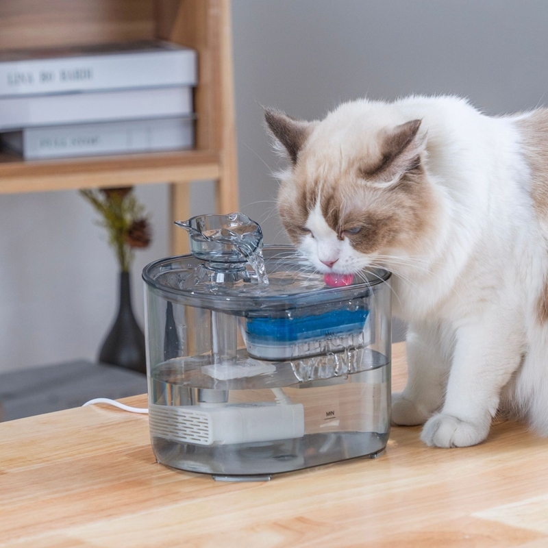 Gravity Flow Design Electric Pet Water Fountain With Smart Sensor UV Sterilization