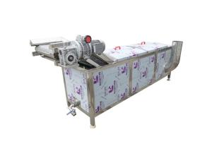 China 300kg/h 2.95kw Raspberry Vegetable Blanching Machine factory