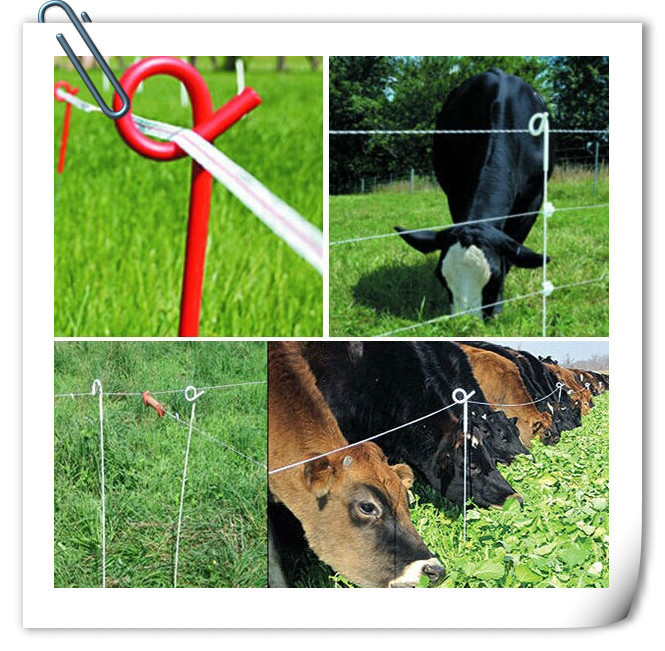 Electric Galvanized Pigtail Post With Strong Step For Cattle Fence QL802