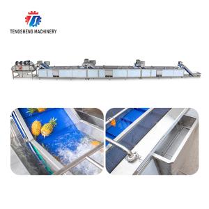 China Pineapple bubble washing and vibrating air-drying line Fruit Vegetable FOOD processing production Machine factory