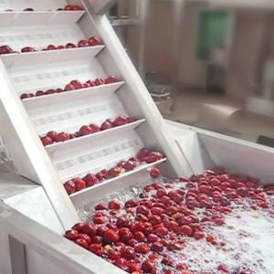 Automatic Jujube Processing Line 50T/H Extraction And Beating