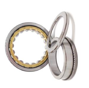 China ODM Double Radial Cylindrical Roller Bearing NU1019 95x145x24mm factory