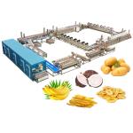 Fully Automatic Frozen French Fries Fry Production Line for Potato Chips