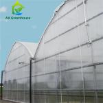 OEM Agricultural PC Sheet Greenhouse
