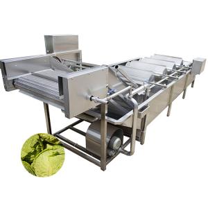 China Automatic Vegetable Fruit Air Bubble Washing Machine factory