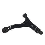 50016191 50016192 Vehicle Auto Car Spare Parts Lower Control Arm with Black E