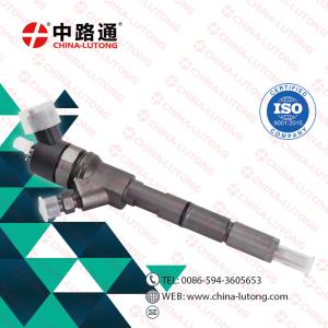 China 0445110307 for bosch common rail injector manufacturers 0 445 110 307 Common Rail Injector 5263308 factory