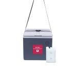 Customizable Vaccine Cooler Box For Specific Storage