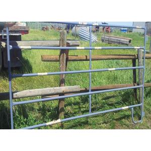 W16ft N Style Powder Coating Metal Cattle Gates