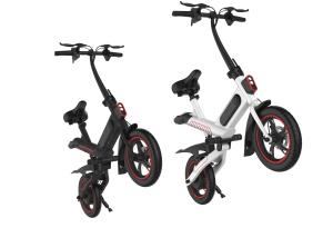 China Energy Saving Adult Folding Electric Bike Simple Style And Economical factory