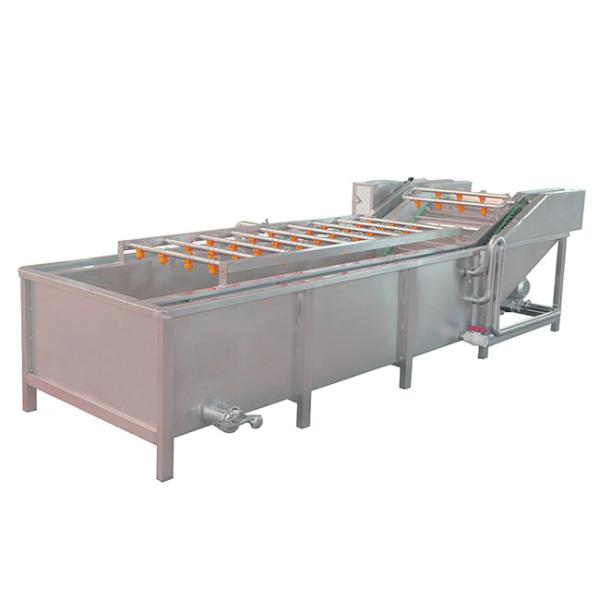 China 1500kg/H Vegetable Fruit Washing Machine factory