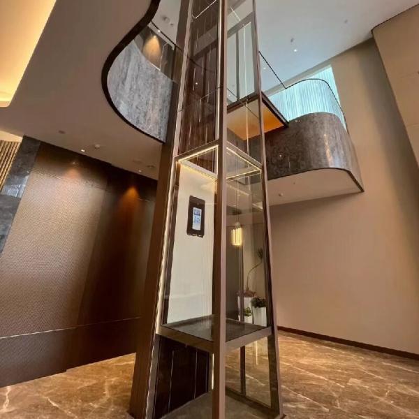 Aluminium Alloy 304# Ss Cabin Elevator Home Hydraulic Elevator Microprocessor