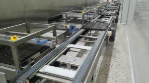 China CE Turnkey Automatic Bread Production Line With Spiral Cooler factory