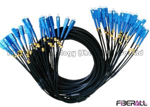 China Armored Fiber Optic Jumper With Sprial Steel Tube And 24 Fan Out SC SM Connector factory