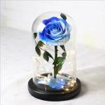 Beautiful Preserved Rose in Glass Dome flower arrangement for lover Everlasting