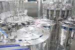 Professional Mini Meatball Ball Fish Ball Forming Machine Stainless Steel