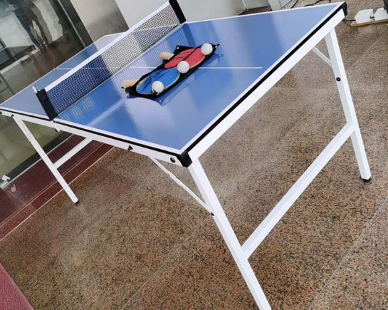 Middle Size 12MM Indoor Table Tennis Table For Family Entertainment
