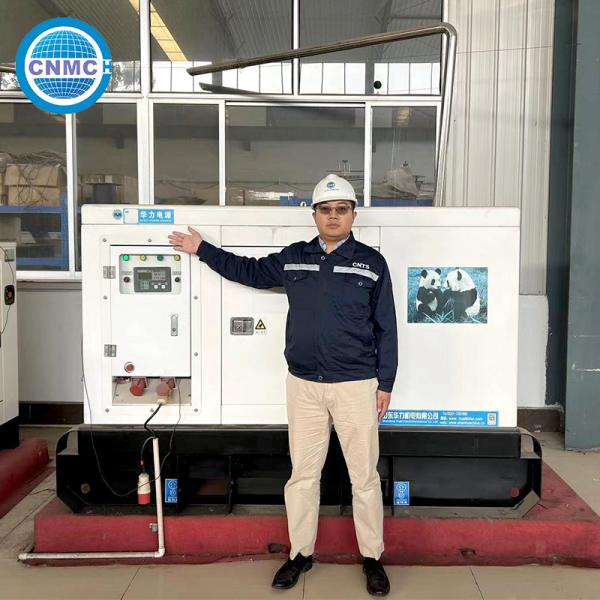 China 60hz Three Phase CUMMINS Open And Silent 200kw 250kva Diesel Generator By CNMC factory