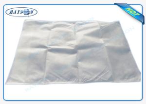 China Nonwoven Airplane Pillow Cover Non Woven Fabric Bags ITTC Certificate 40 Cm * 40 Cm factory