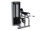 Professional Commercial Gym Equipment Muscle Building OEM ODM Service