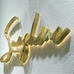 2022 Hot Selling Outdoor Store Company Brand Logo 3d Led Lighted Letter Sign