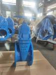Class A DN50 Rising Stem Gate Valve Resilient Wedge Valve ANSI Standard