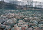 8x10cm 3.2mm Steel Hexagonal Wire Netting Gabion Box Slope Protection Wire Mesh