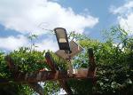 Waterproof Ip65 Street Solar Led Lights 20-120w