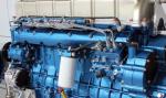 Dongfeng Shanghai C6121ZG50 Diesel Engine Spare Parts( CAT 3306 License)