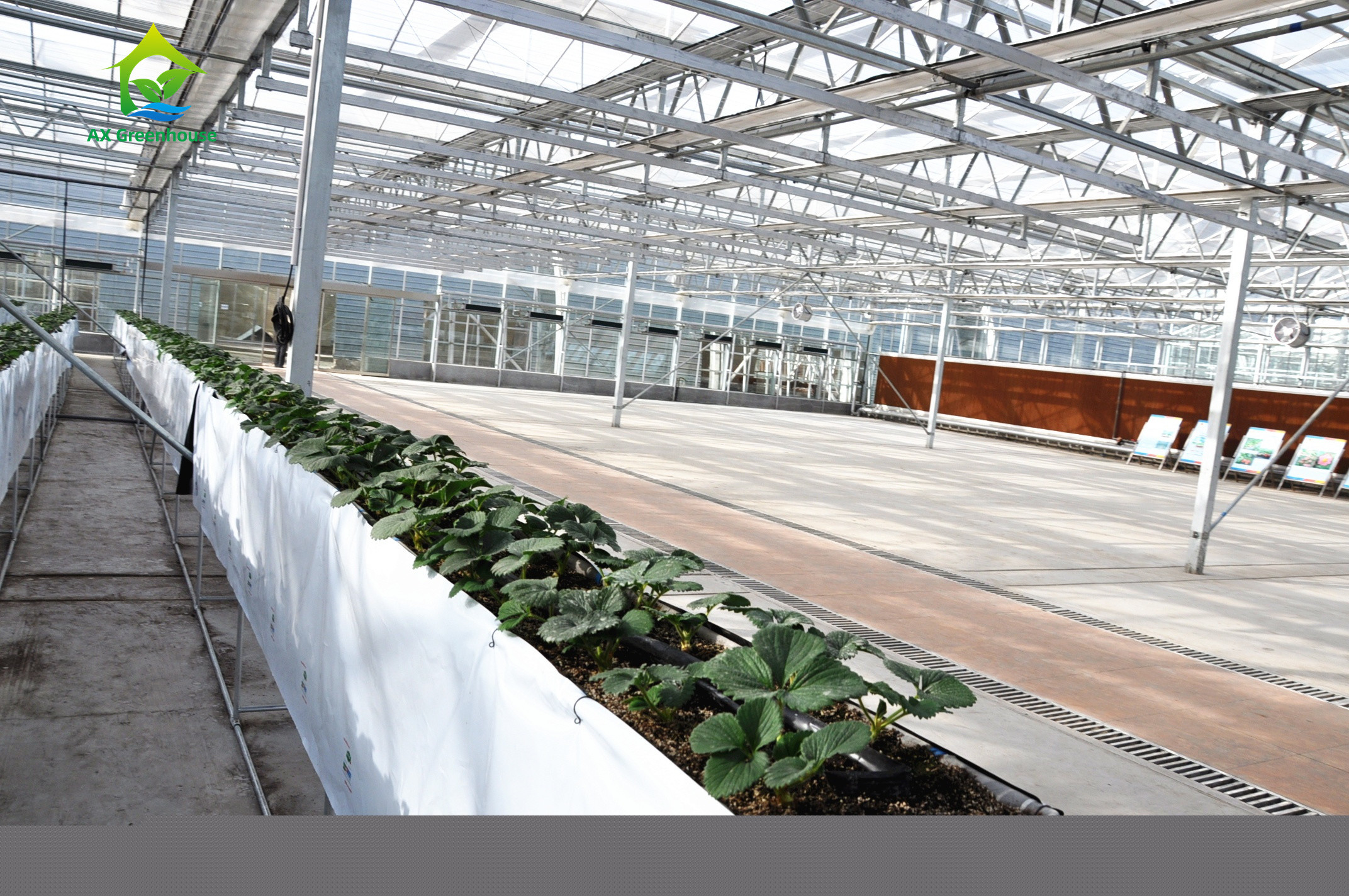 China Automatic Pipe Soilless Cultivation Equipment Generous Tube Hydroponic Tomato Planter factory