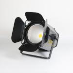 200w Golden COB Par Light