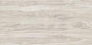China Non Slip Wood Effect Porcelain Tiles , Porcelain Wood Look Tile Flooring 600x1200mm factory