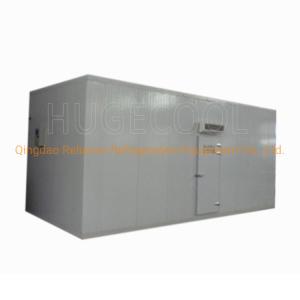 China Nature Production -10-0C Mini Solar Cold Room 20cbm for Meat factory