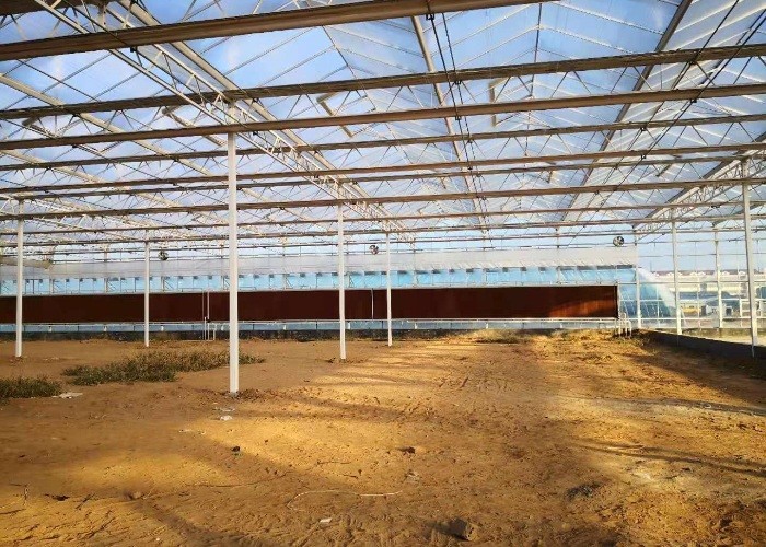 12m Wide Span 6mm 8mm 10mm 4mm 3mm Polycarbonate Sheet Greenhouse Hollow With Shading System