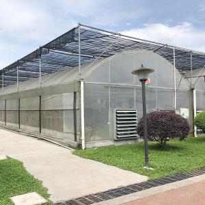 Commercial Polytunnel Multi-Span Greenhouse Modular Design Large-Scale