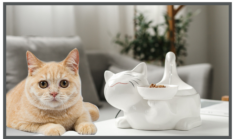 2L Water Capacity Ceramic Pet Bowl Automatic Multifunctional