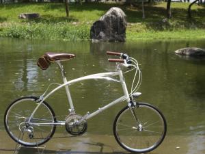 China Caliper brake black Chrome steel mini small 20 size old style city bike for lady with Shimano 6 speed factory